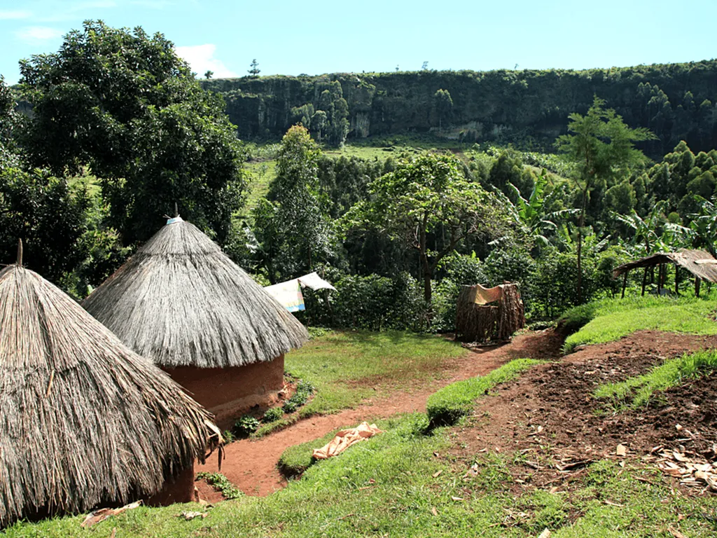 Traditional thatched-roof huts in a green rural landscape with dense vegetation and hills in the background.