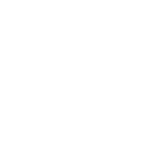 Airline Ticket Icon